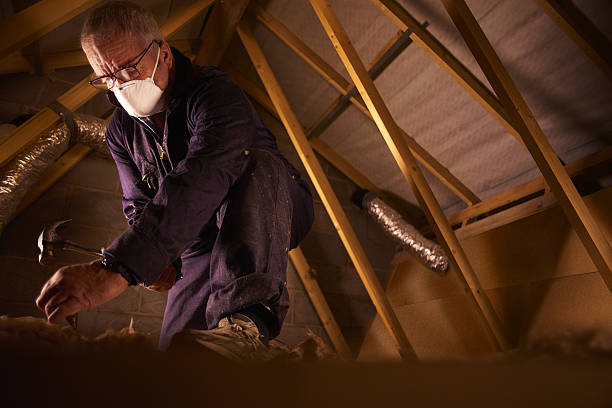 Best DIY Insulation Kits and Guidance in West Des Moines, IA