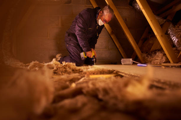 Best Specialized Insulation Services in West Des Moines, IA